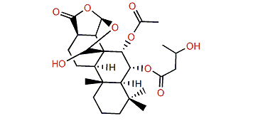 Aplyroseol 22